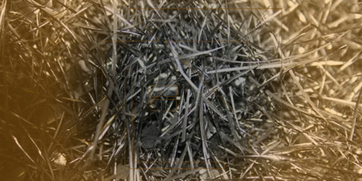 Default Image